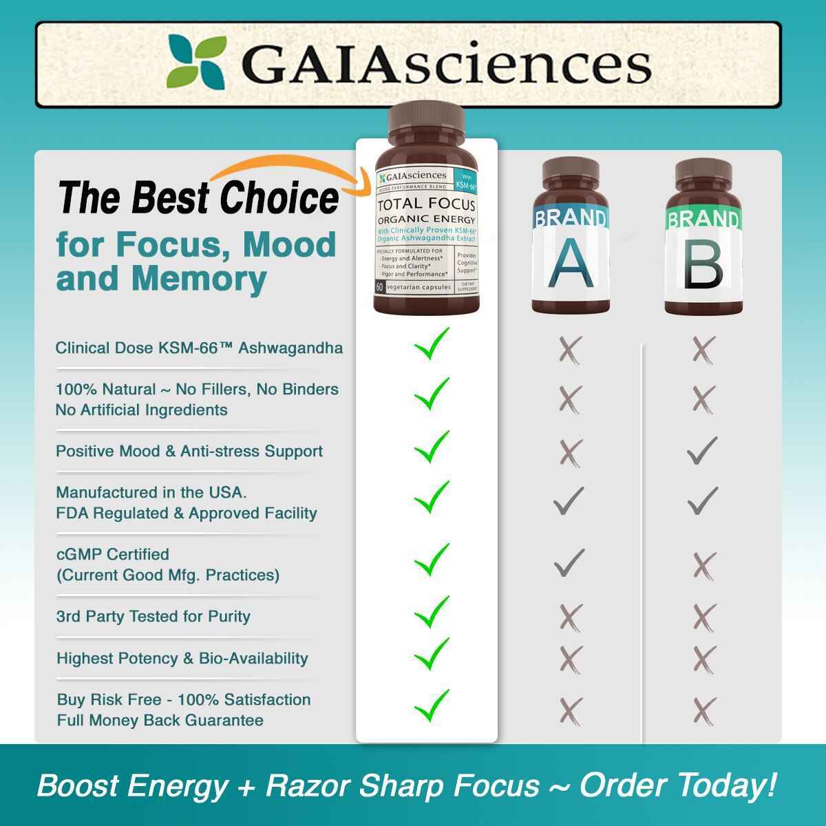 Gaia Sciences Gaia Sciences Total Focustm Supports Cognitive Function, Added Attention, Memory, Concentration, Focus, Energy, Physical Stamina - with KSM66r